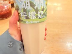 -猫的魔法密林(衣裳街店)