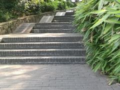 -伯先公园