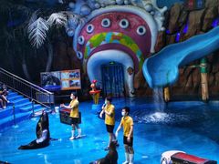 -烟台海昌鲸鲨海洋公园