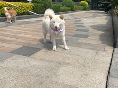 -合景·悠方(成都店)