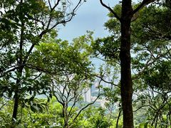 -梧桐山风景名胜区