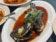 姜葱清蒸老虎斑-海鲜e族(马王堆店)