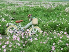 -洋湖国家湿地公园