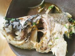 -马村鱼头