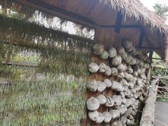 -海南槟榔谷黎苗文化旅游区