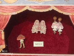 -恋物百货商店(华侨城店)