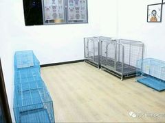 二楼宽敞的寄养环境，营业面积一百多平方-范小萌宠物店(阳光新城竹苑店)