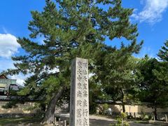 -奈良公园