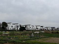 -东梓关景区村庄