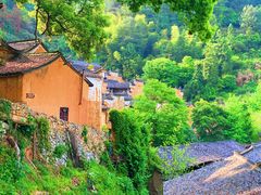 -杨家堂村