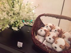 iphone_upload_pic-上海崇明金茂凯悦酒店