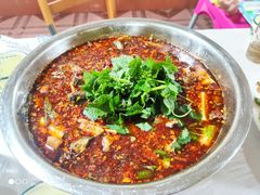 -彭大姐老店黄辣丁(新津店)