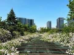 -天鹅湖体育公园