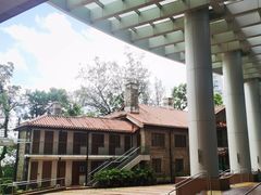 -香港大学