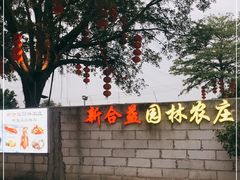 -新合益乡村农庄