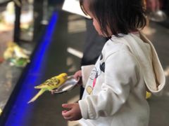 -昆明大悦城未来动物城(螺蛳湾中心店)