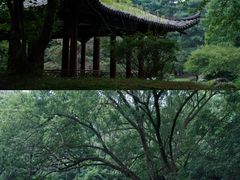 -杭州植物园