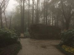 -赭山公园