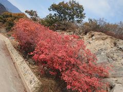-北京鹫峰国家森林公园