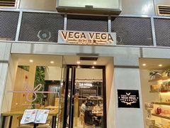 -VEGA VEGA 我行我素