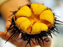 海胆-禾也·居酒屋（深夜食堂）(莲城步行街店)