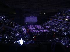 -南京奥林匹克体育中心-体育馆