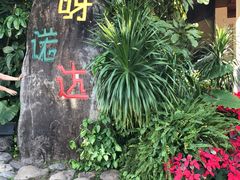 -呀诺达热带雨林