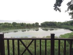 -上海市保健医疗中心(华东疗养院)