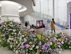 -广州美莱医疗美容医院
