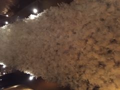 iphone_upload_pic-云门锦翠(商鼎国际店)