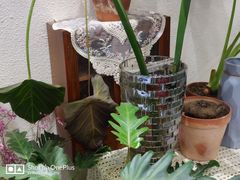 -宏帆巴人广场(石岭大道店)