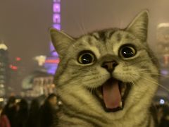 -纳吉亚猫专科动物医院博雅分院