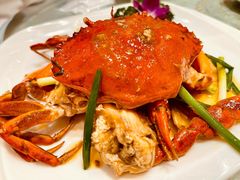 -海儀美食楼(湾仔海鲜街店)