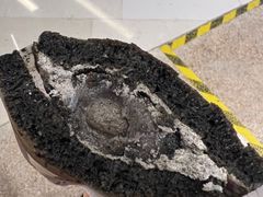 -泽田本家·铜锣烧(环贸店)