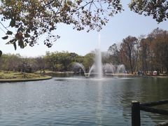 -共青国家森林公园-售票处