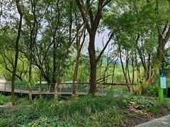 -西湖风景区-江洋畈生态公园