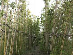 -中国银行江苏省分行培训中心