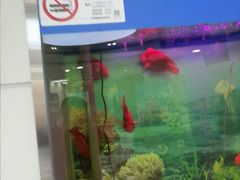 -雅悦齿科(顾村公园店)