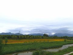 -洨河生态公园
