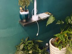 -仙雨林·奶茶鲜果茶(书院巷店)