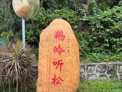 -长洲岛