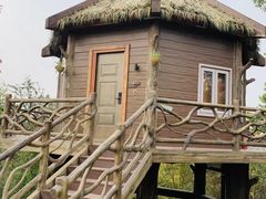-黄龙溪欢乐田园