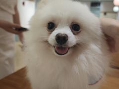 -观音桥步行街
