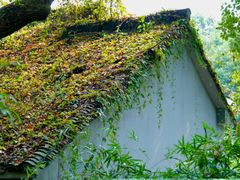-杭州植物园