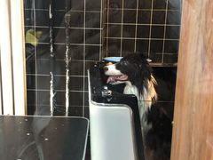 -Goku PET SHOP宠物视觉生活馆(双井店)