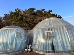 -棒棰岛宾馆景区