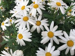 -大理无舍度假酒店