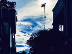 -归觅·西关小姐人文艺术馆(荔枝湾店)