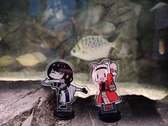-北京海洋馆