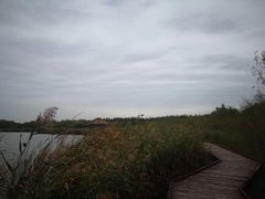 -西青郊野公园
